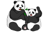 Panda Bear Funny Pandas