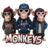 Monkeys 4