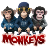 Monkeys 3