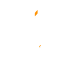 LJ