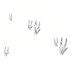 Fisch Angler Fischmotiv Spruch
