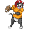 Cat Football Sports