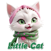 Kitten