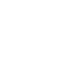 Attitude