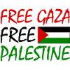 Free gaza Free palestine