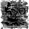 Vélo BMX
