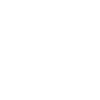 Cat Animal Icon