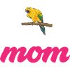 Parakeet, Parrot, Parakeet, Bird