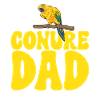 Parakeet, Parrot, Parakeet, Bird