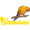 Parakeet, Parrot, Parakeet, Bird