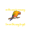 Parakeet, Parrot, Parakeet, Bird