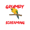 Parakeet, Parrot, Parakeet, Bird