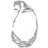 Binturong Bearcat Gift