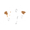 Cadeau Bongo Music