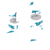 Bongo Music Gift