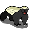 Claude The Honey Badger