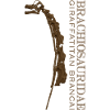 Giraffatitan Brancai Brachiosauridae brown