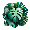 Monstera