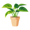 Plant Green Potted Plant Leaves