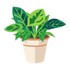 Plant Green Potted Plant Leaves