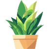 Plant Green Potted Plant Leaves