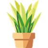 Plant Green Potted Plant Leaves