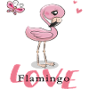 Flamingo Love
