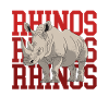 Rhino Rhinoceros Rhinos Gift