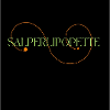 Salperlipopette rainbow butterfly créa