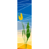 Tulip in cubic sundown