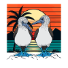 Blue-footed boobies couple