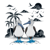 Galapagos Islands Blue-footed boobies