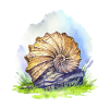 Fossil