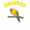 Parakeet, Parrot, Parakeet, Bird