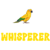 Parakeet, Parrot, Parakeet, Bird