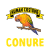 Parakeet, Parrot, Parakeet, Bird