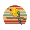 Parakeet, Parrot, Parakeet, Bird