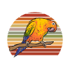 Parakeet, Parrot, Parakeet, Bird