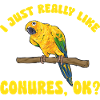 Parakeet, Parrot, Parakeet, Bird