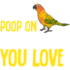 Parakeet, Parrot, Parakeet, Bird