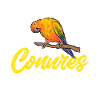 Parakeet, Parrot, Parakeet, Bird