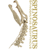 Spinosaurus skull bone