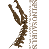 Spinosaurus skull brown