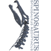 Spinosaurus Skull grey