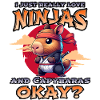 Capybara Ninja
