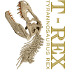 T-Rex Skull bone