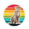 Cheeta Il