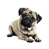 Feeling Puggy 2