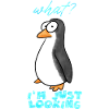 I´m just looking