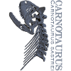 Carnotaurus Skull grey
